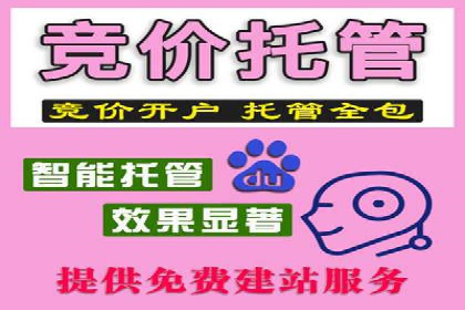 百度竞价SEM的秘密武器：案例背后的策略分析